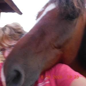 Meet your Posher, Nancy